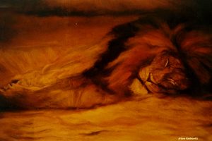 Sleeping Lion Pastel on paper 1994 45cmx45cm