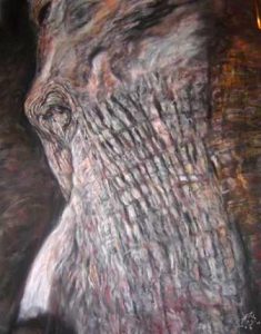 Elephant Head Pastel on paper 2004 60cmx80cm