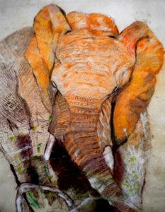 Elephant study Pastel on paper 2016 80cmx60cm