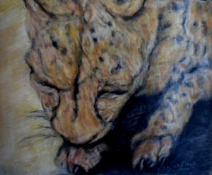 Cheetah Pastel on paper 1994 35cmx48cm