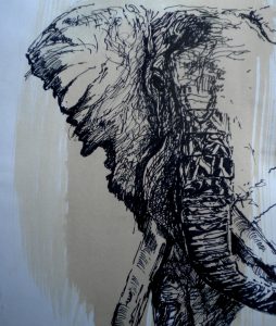 Elephant Head Ink on Paper 1999 30cmx45cm